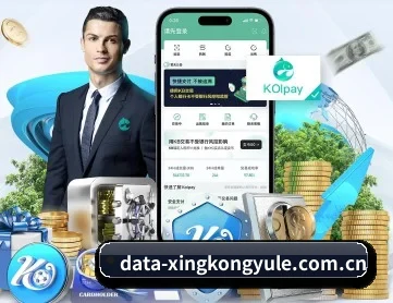 星空娱乐 APP 深度功能